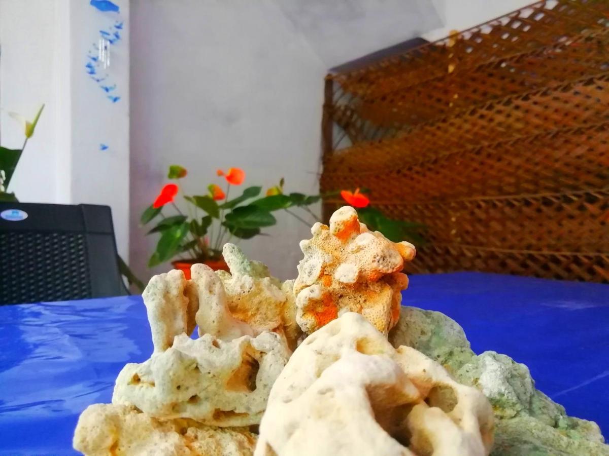 New Coral Garden Weligama Hotell Exteriör bild